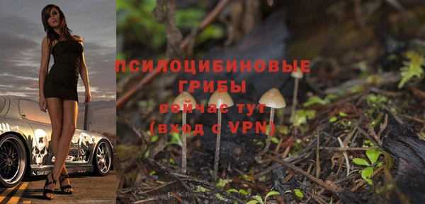 а пвп мука Баксан
