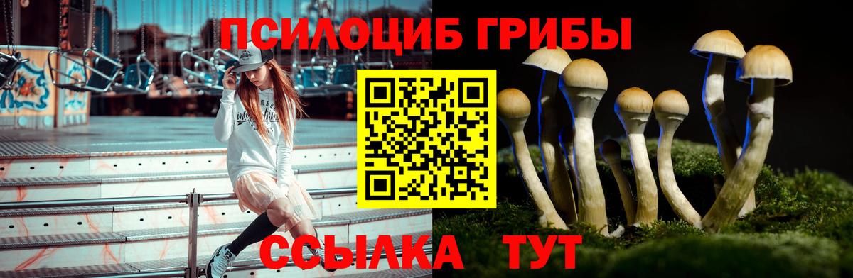 Псилоцибиновые грибы мухоморы  как найти закладки  Черняховск  Вход с VPN 